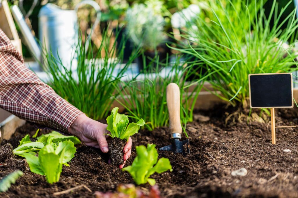 planting-a-garden