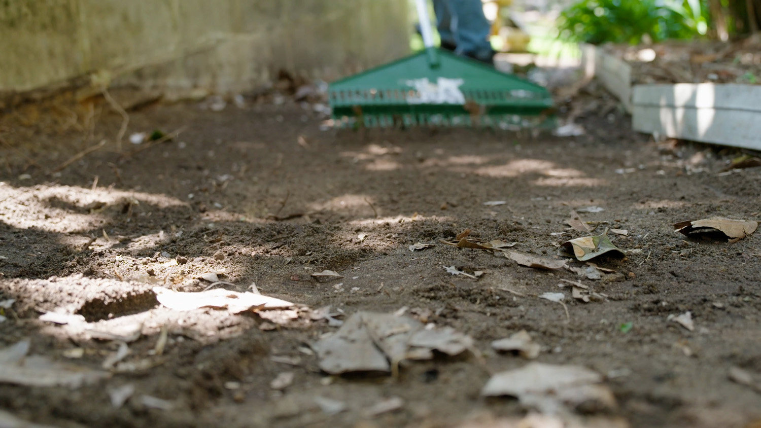 dry ground landscaping